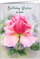 Birthday in June Pink Rose Soft Pastel Custom card