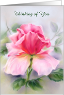 Thinking of You Pink Rose Soft Pastel Art Personalized card