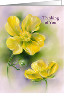 Thinking of You Buttercups Yellow Wildflowers Art Custom card