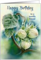 Birthday Friend Green Filberts on Branch Botanical Art Personalized card