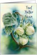 Feel Better Soon Green Filberts on Branch Botanical Art card