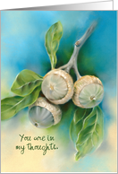 Thinking of You Live Oak Acorns and Leaves Custom card