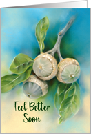 Feel Better Live Oak Acorns and Leaves Pastel Art card