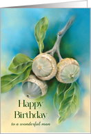 Birthday for Him Live Oak Acorns and Leaves Custom card