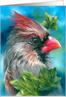 Any Occasion Lady Cardinal Bird with Ivy Leaves Blank card