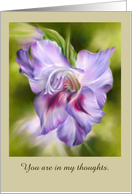 Thinking of You Purple Gladiolus Flower Art Custom card