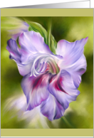 Any Occasion Purple Gladiolus Flower Art Blank card