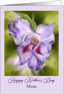 Mothers Day for Mom Purple Gladiolus Flower Art Custom card