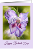 Happy Mothers Day Purple Gladiolus Flower Art card
