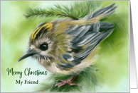 Christmas for Friend Little Goldcrest Bird in Evergreen Personalized card