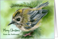 Christmas from Custom Name Little Goldcrest Bird in Evergreens A card