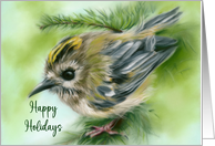 Happy Holidays Little Goldcrest Bird in Evergreen card