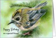 Birthday for Friend Goldcrest Bird in Evergreen Custom card