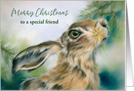 Christmas for Friend Hare Wildlife in Winter Custom card