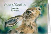 Christmas from Custom Name Hare Wildlife in Winter card