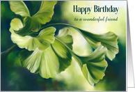 Birthday for Friend Sunlit Green Ginkgo Leaves Custom card
