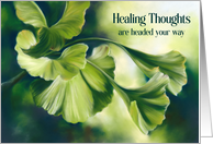 Get Well Healing Thoughts Sunlit Green Ginkgo Leaves card