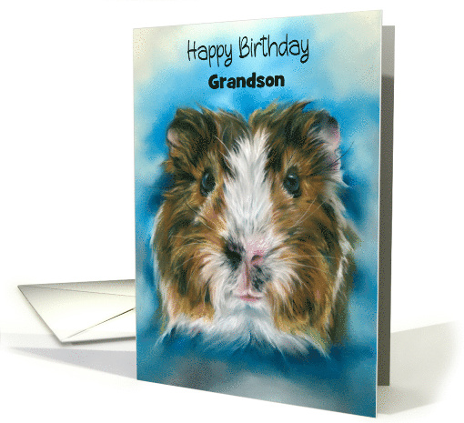 Birthday for Grandson Tricolor Guinea Pig on Blue Personalized card