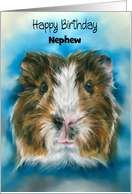 Birthday for Nephew Tricolor Guinea Pig on Blue Custom card