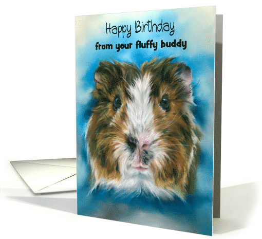 Birthday from Pet Tricolor Guinea Pig on Blue Custom card (1793990)