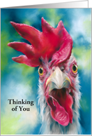 Thinking of You Whimsical White Chicken Custom Blank Inside card