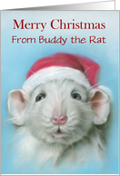 From Pet Personalized Name Christmas White Rat with Santa Hat card