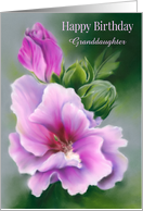 For Granddaughter Custom Birthday Rose of Sharon Hibiscus Pastel card