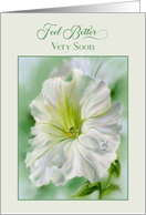 Feel Better Soon White Petunia Flower Pastel card