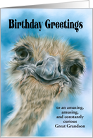 For Great Grandson Birthday Ostrich Curious Bird Art Personalized card