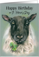 Happy Birthday on St Patricks Day Whimsical Sheep with Shamrocks card