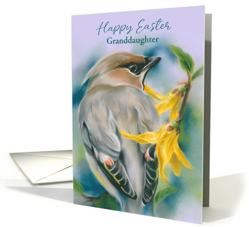 Granddaughter Easter Cedar Waxwing Bird with Forsythia Custom card