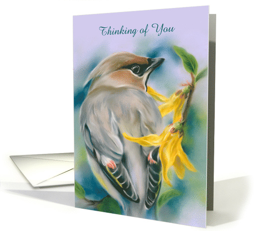 Thinking of You Cedar Waxwing Bird with Forsythia Blank... (1817088)
