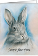 Easter Greetings Gray Bunny Rabbit Pastel Art card