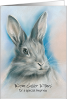 For Nephew Easter Gray Bunny Rabbit Pastel Custom card