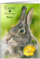 For Nephew Easter Wild Bunny Rabbit Buttercup Custom card