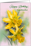 For Grandmother Birthday Yellow Daffodil Spring Flowers Custom card