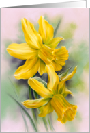 Any Occasion Yellow Daffodil Spring Flowers Blank Inside card