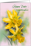 For Granddaughter Easter Yellow Daffodil Spring Flowers Custom card
