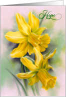 Hope Encouragement Yellow Daffodil Spring Flowers card