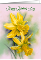 Happy Mothers Day Yellow Daffodil Spring Flowers card