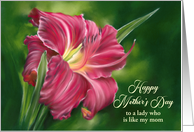 Mothers Day for Like a Mom Red Daylily Flower on Green Custom card