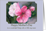 Mothers Day for Like a Mom in Law Pink Quince Flowers Custom card