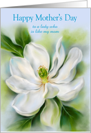 Mothers Day Like a Mom Sweet Bay Magnolia White Flower Custom card