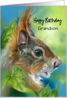For Grandson Birthday Red Squirrel with Green Leaves Custom card