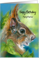 For Nephew Birthday Red Squirrel with Green Leaves Custom card
