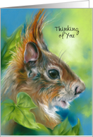 Thinking of You Red Squirrel with Green Leaves Custom Blank Inside card