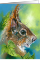 Any Occasion Red Squirrel with Green Leaves Blank card