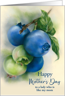 Mothers Day for Like a Mom Blueberries Botanical Art Personalized card