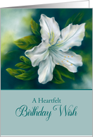 Birthday Wish White Azalea Flower card