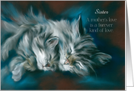 For Sister on Mothers Day Sleeping Cat and Kitten Custom card